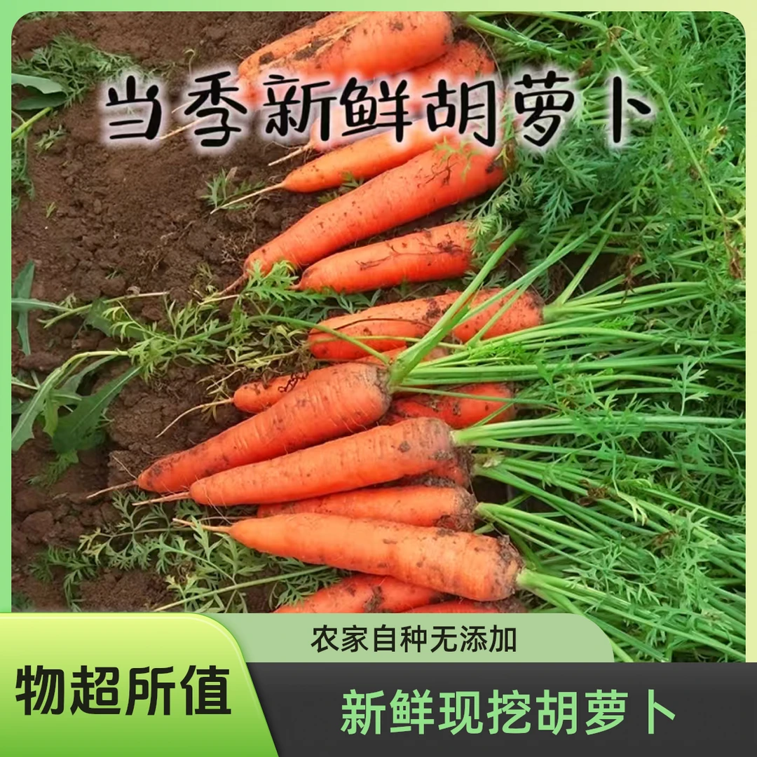 2025当季新鲜胡萝卜时令生鲜不水洗带泥现挖现发农家传统种植