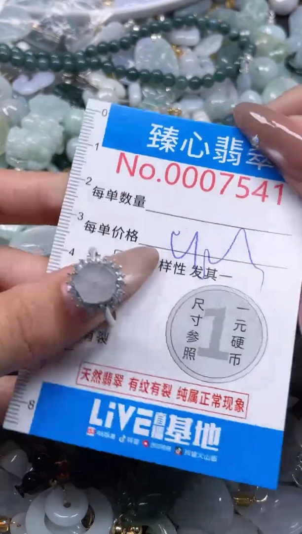 颈饰未镶嵌翡翠7541
