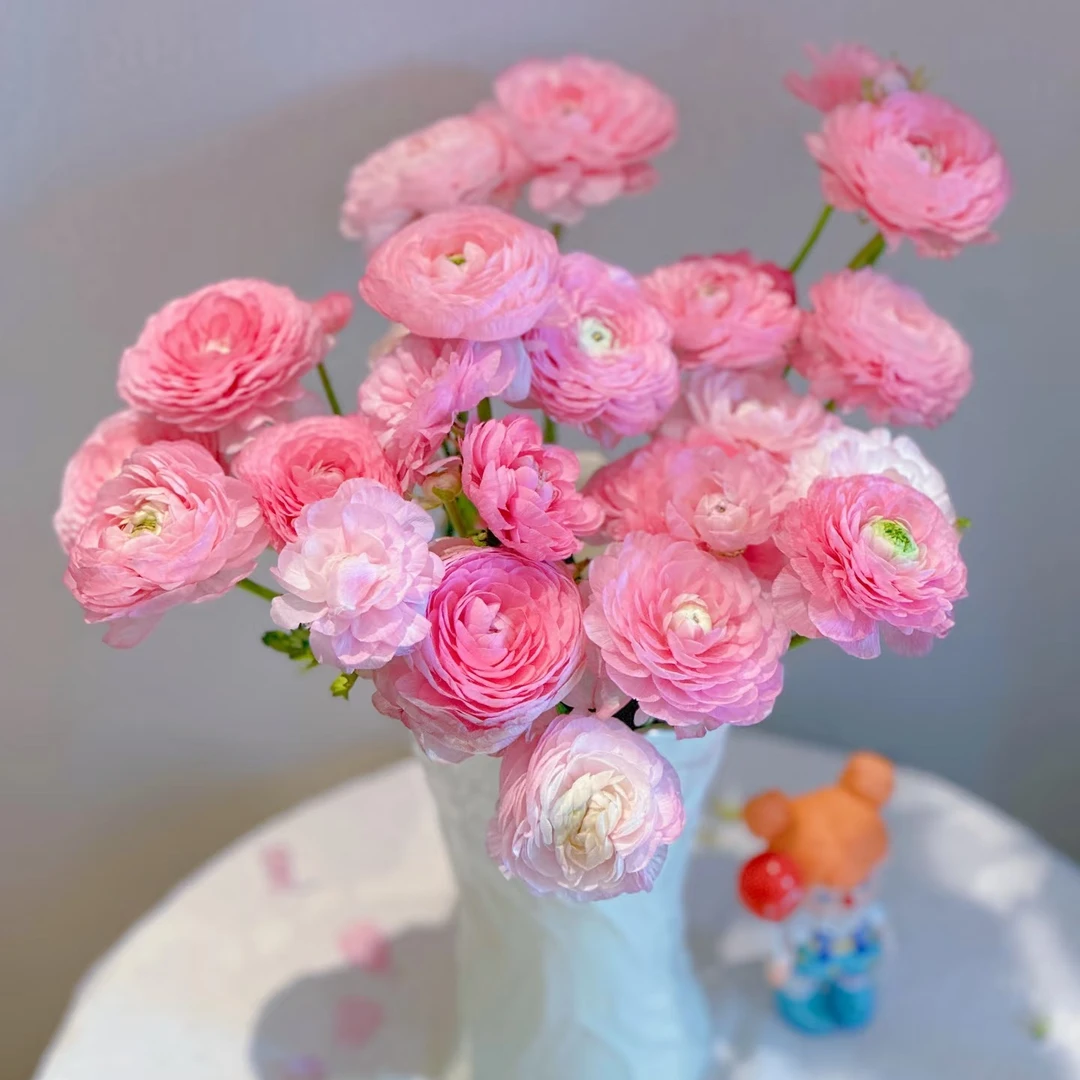 洋牡丹粉色A级20枝