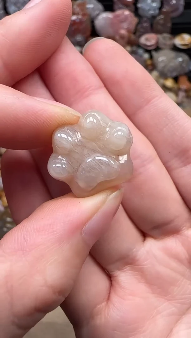 颈饰未镶嵌硅化珊瑚（珊瑚玉）545