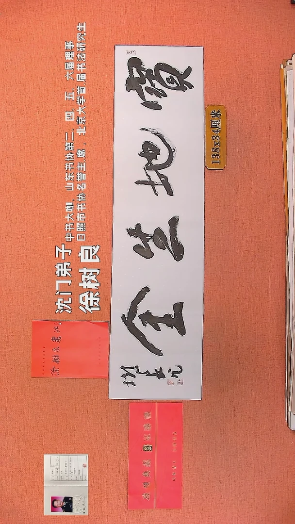 【闪购商品】书法22        徐树良书法作品