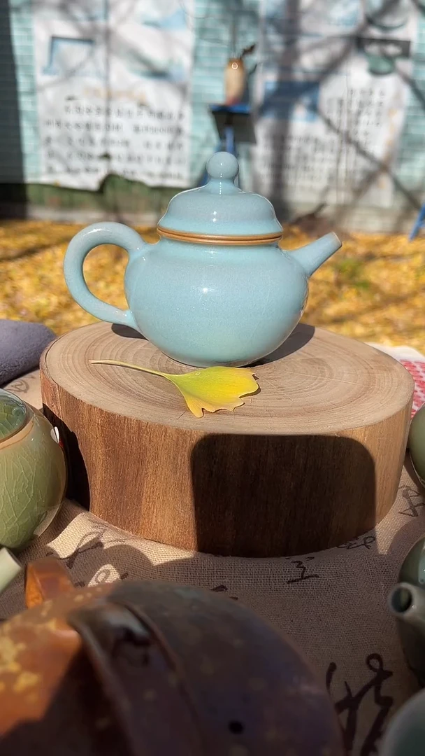 陶原生态原矿防柴马蹄