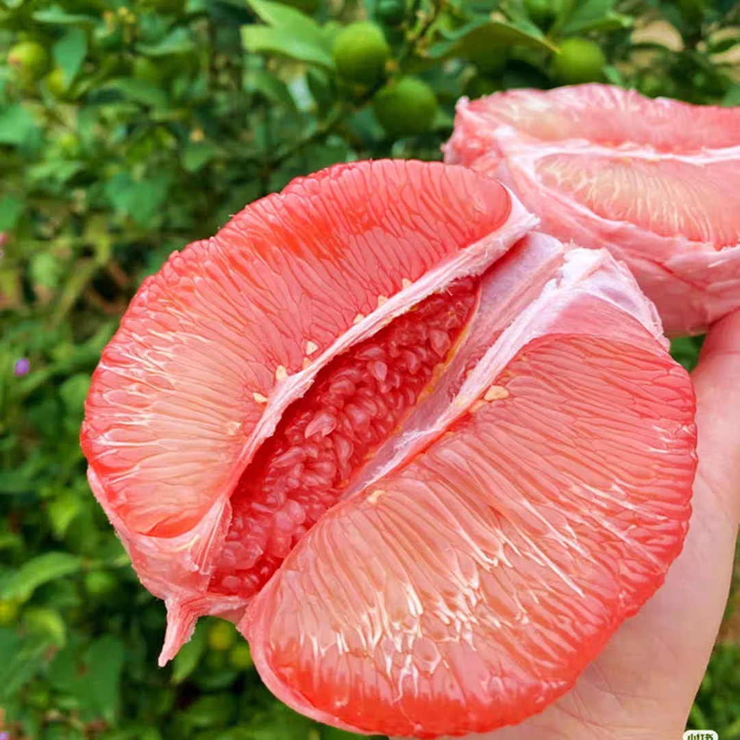 福建平和【三红蜜柚】鲜甜多汁/新鲜采摘/4.5-9斤包邮/坏果包赔