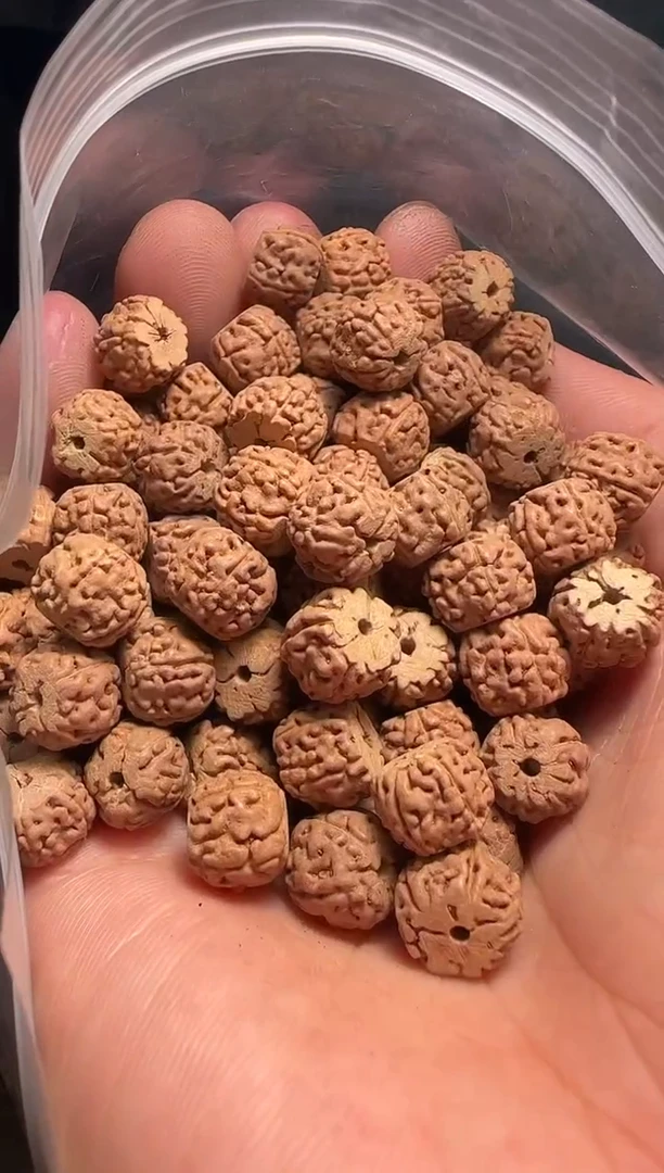 手串金刚菩提非全品龙切一代龙散籽9-10mm一份一百颗