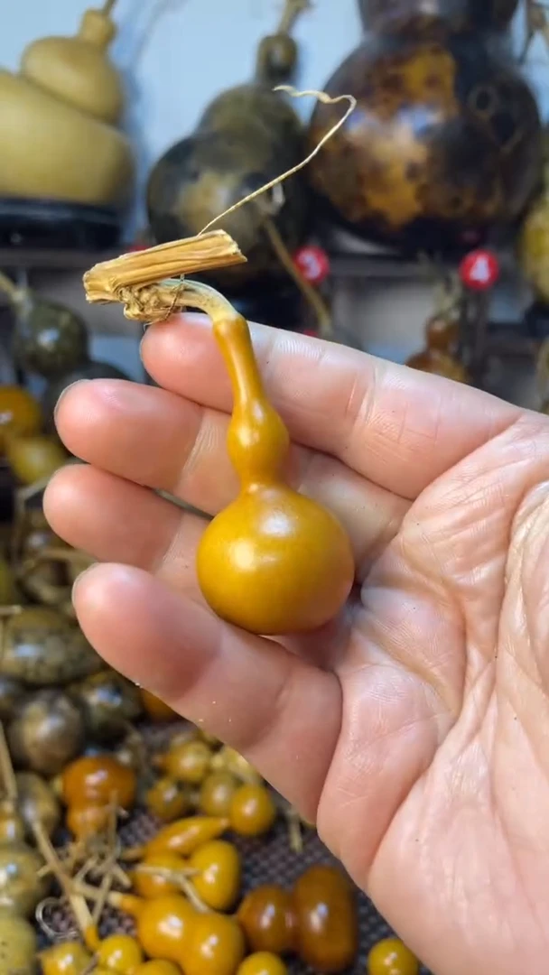 【闪购商品】葫芦葫芦葫芦葫芦