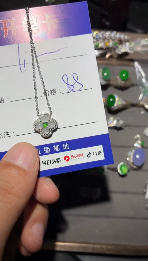 颈饰银S925镶嵌翡翠l**y向 lily