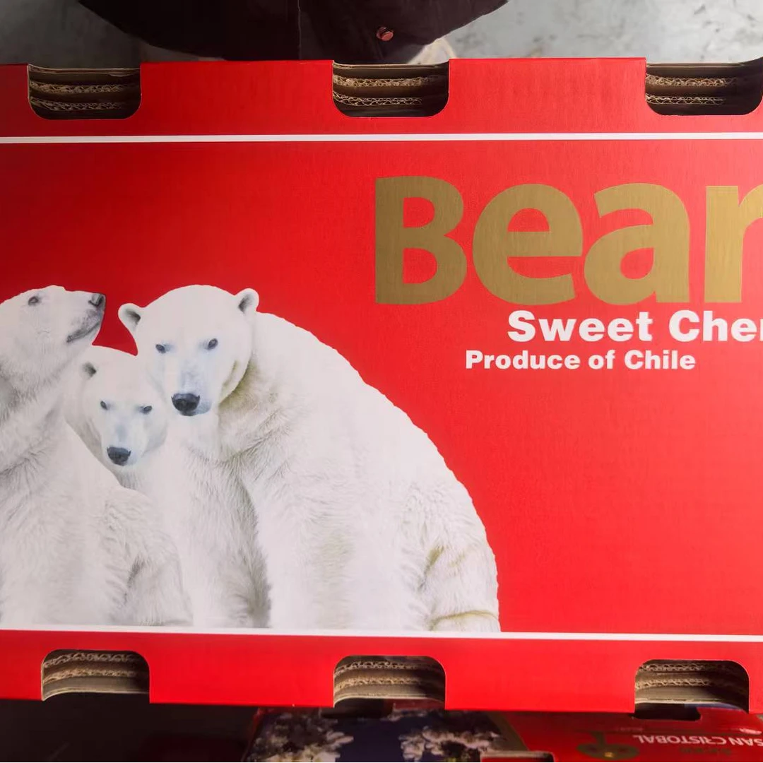 4JJJJ车厘子冰熊净重5斤拉宾斯脆甜智利海运车厘子