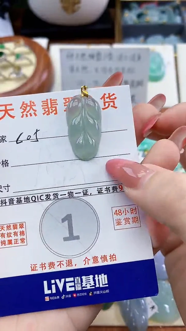 颈饰未镶嵌翡翠天然A货翡翠挂件