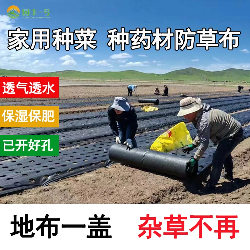 药材蔬菜苗木农用多功能打孔定制透气环保除草保湿防草布除草地膜