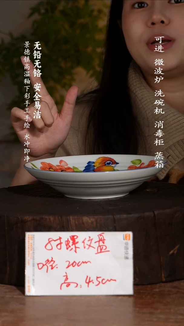 碗陶瓷景德镇高温瓷釉下彩手绘陶瓷