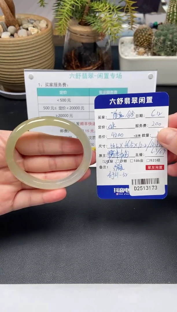 翡翠手镯未镶嵌D2513173