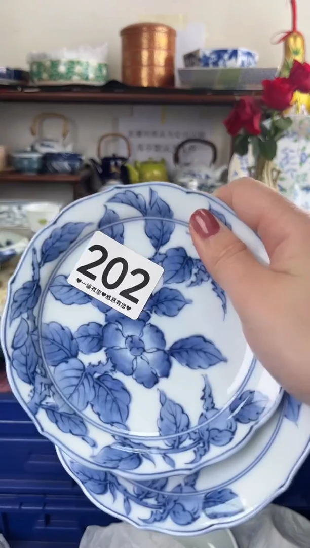 瓷片202...............