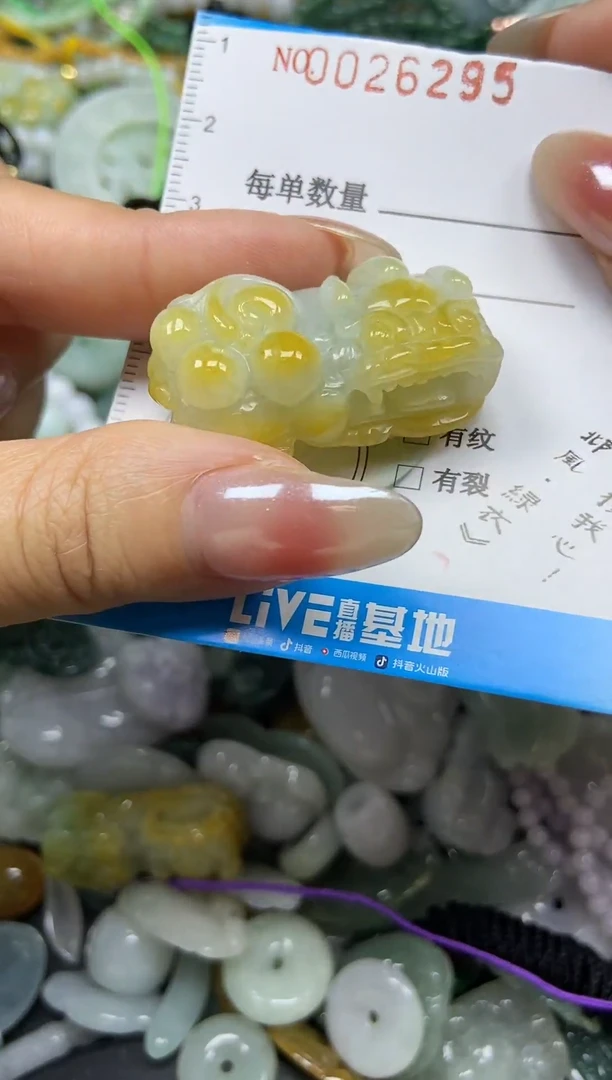 颈饰未镶嵌翡翠026295