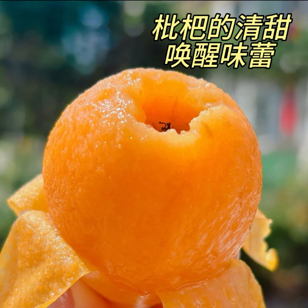 新鲜枇杷一盒g枇杷同城送