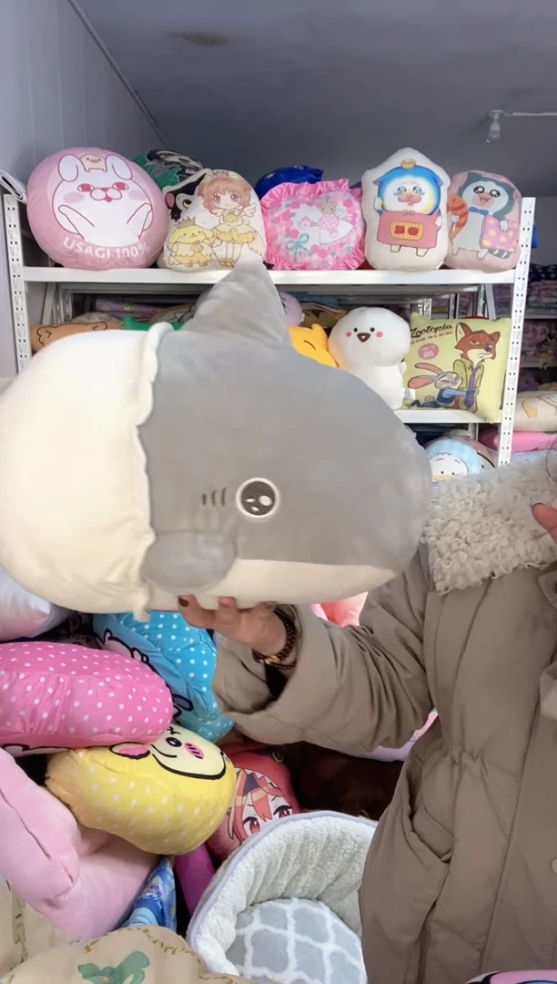 外出游玩的小鲨鱼