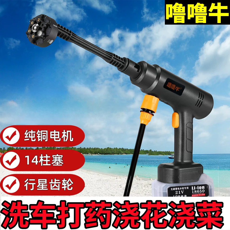 无线洗车机高压水枪浇花浇菜打药清洗庭院空调滤芯清洗机家用洗车