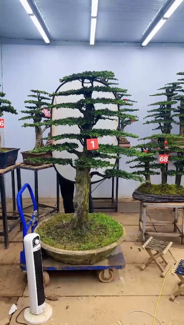 【闪购商品】一物一拍，所见即所得