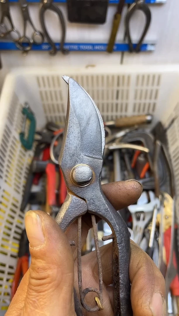 镁吾**往老五工具工具工具