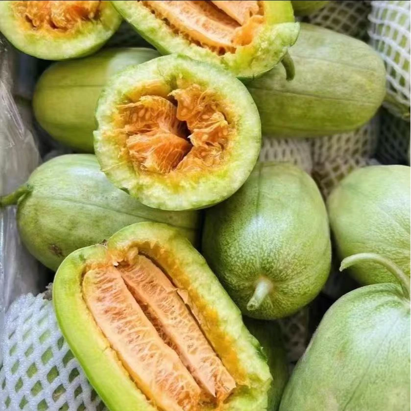 （当天现摘现发）陕北绥德芝麻小瓜