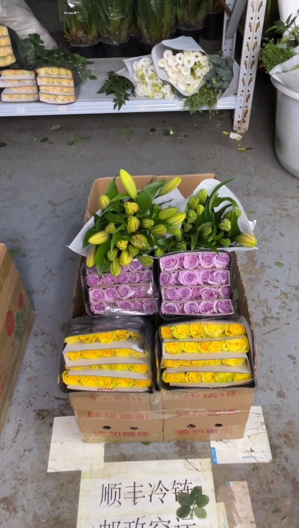 浪漫沙滩20枝+海洋之歌20枝+双头亚百合10枝