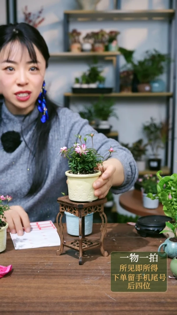 【闪购商品】90--5166月季黄