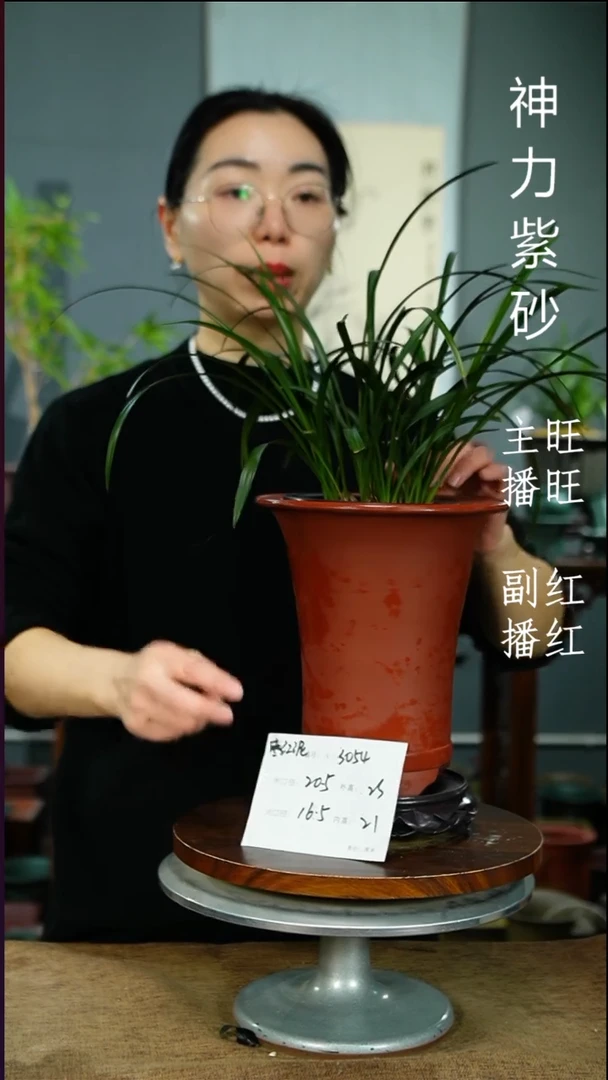 紫砂花盆3054+S紫砂花盆紫砂