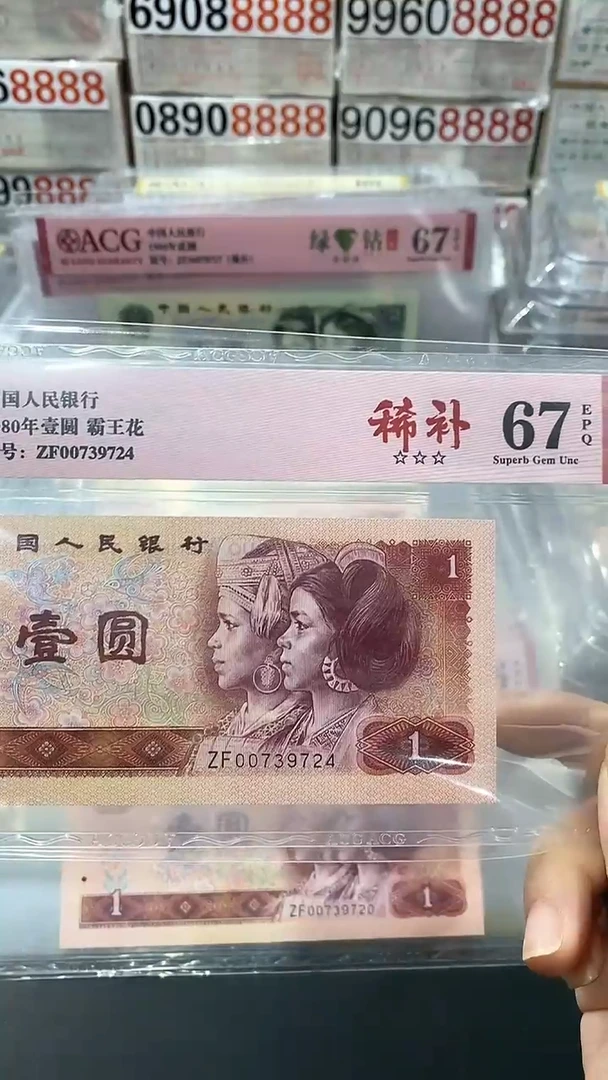 【闪购商品】801稀补ZF00739724