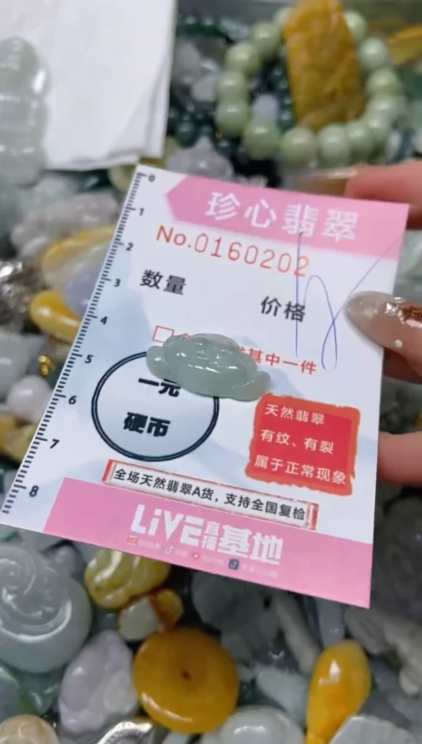 【闪购商品】翡翠颈饰未镶嵌闪购0160202