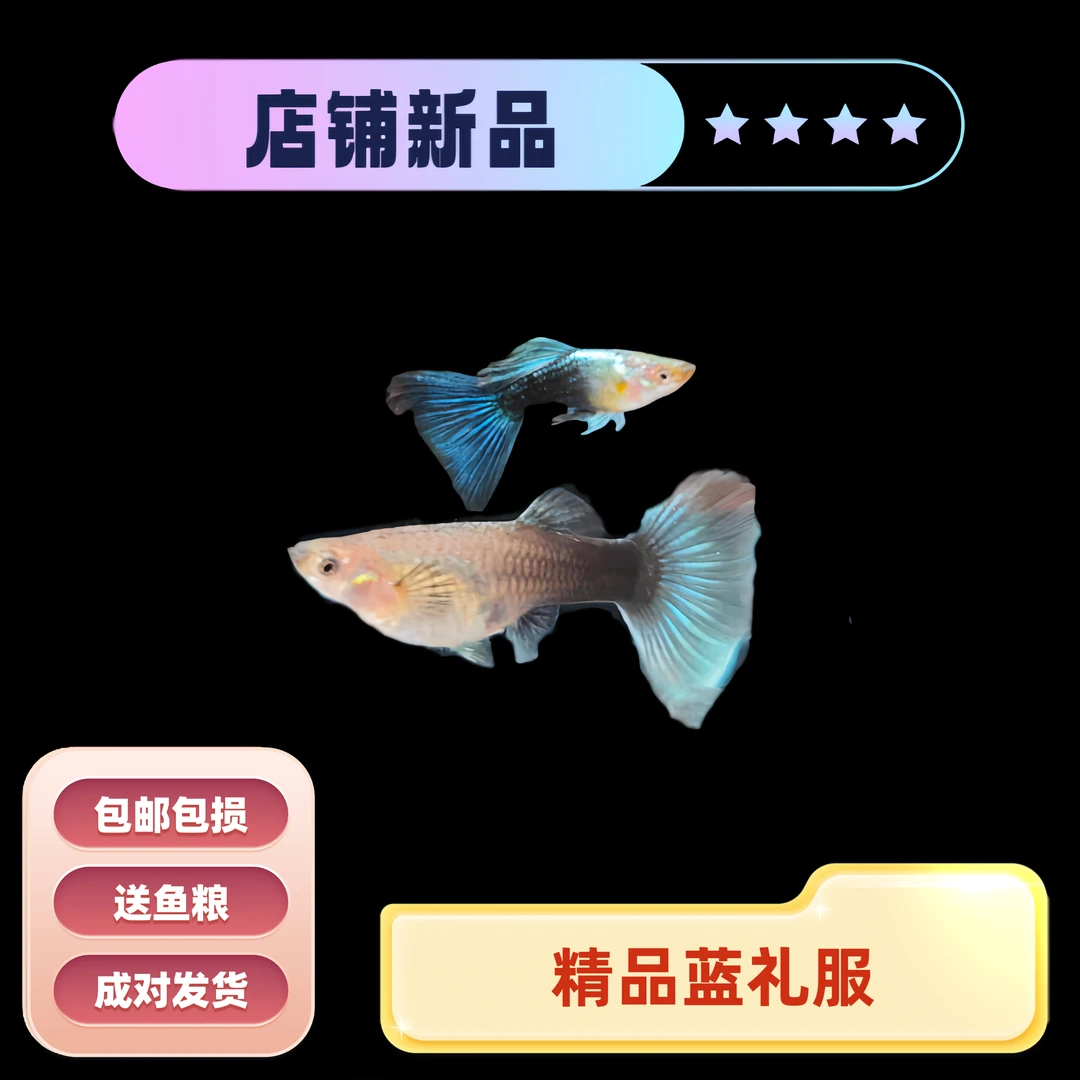 直播间福袋奖品蓝礼服1对 福袋包邮不包损