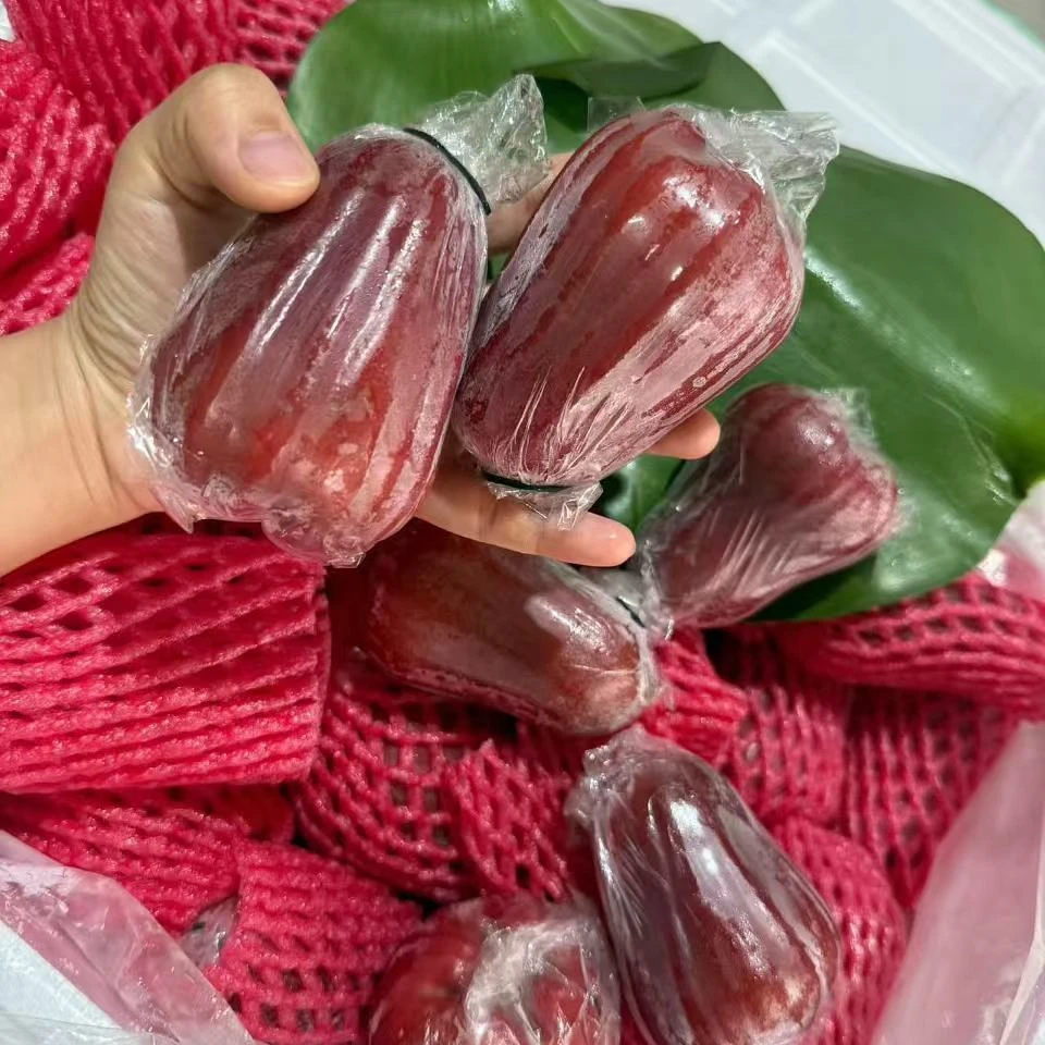 正宗泰国黑金刚莲雾清甜汁水足孕妇新鲜水果脆甜现摘整箱非海南果