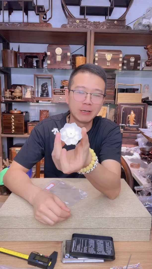 乌木类书架863塑料莲花香插