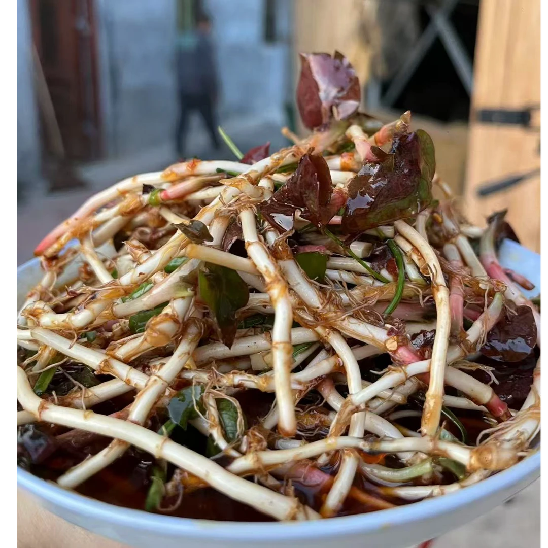 四川新鲜折耳根嫩芽脆嫩健康美味