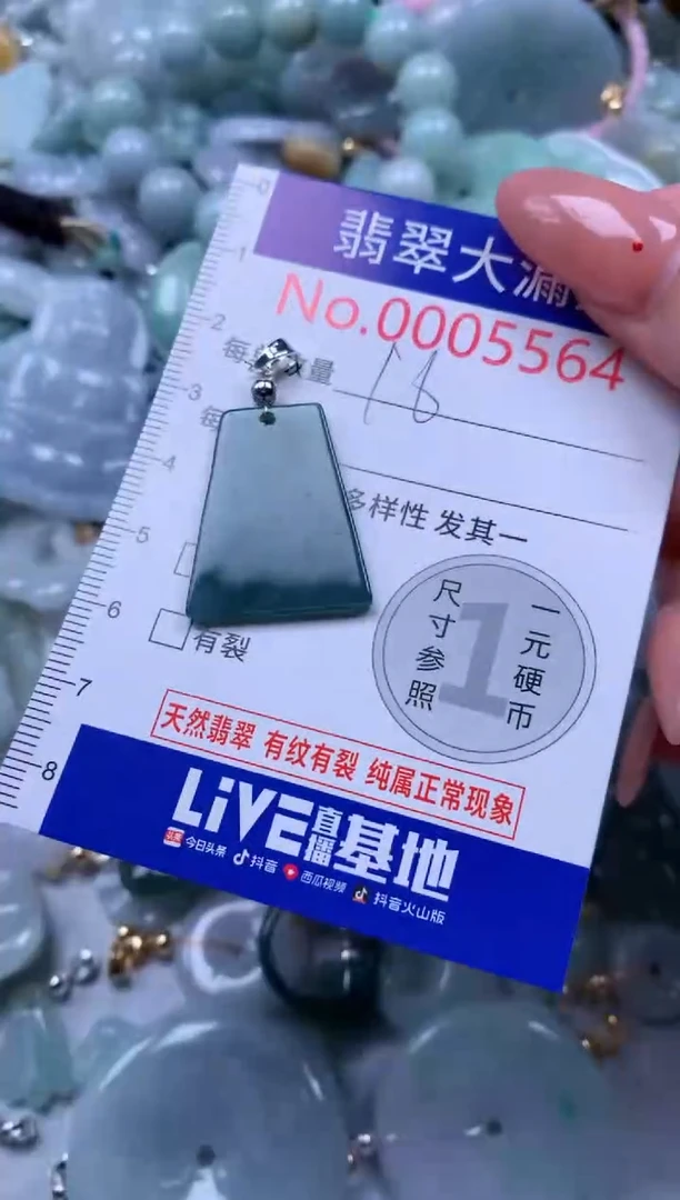 翡翠未镶嵌吊坠(不含链)5564