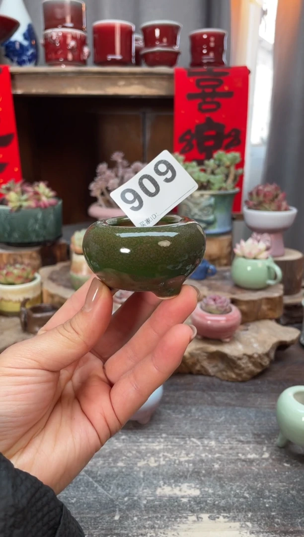 【闪购商品】摆件909知木小芳花盆