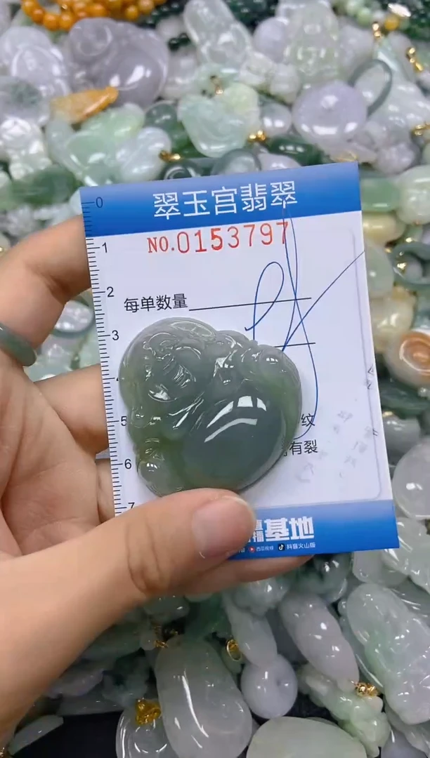 翡翠未镶嵌颈饰闪购0153797
