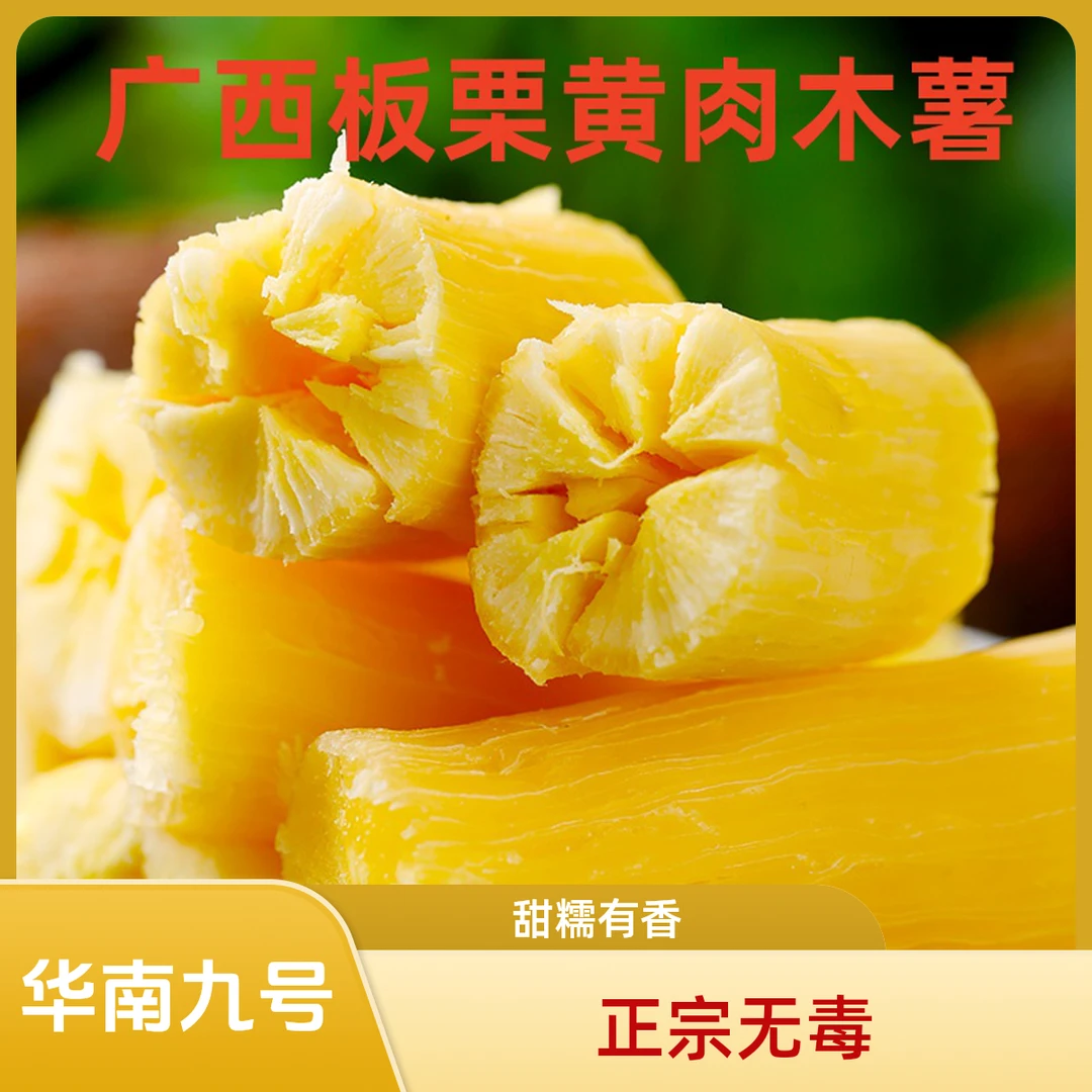 正宗华南九号（无毒的）黄金木薯黄肉木薯板栗木薯糖水甜品店专用