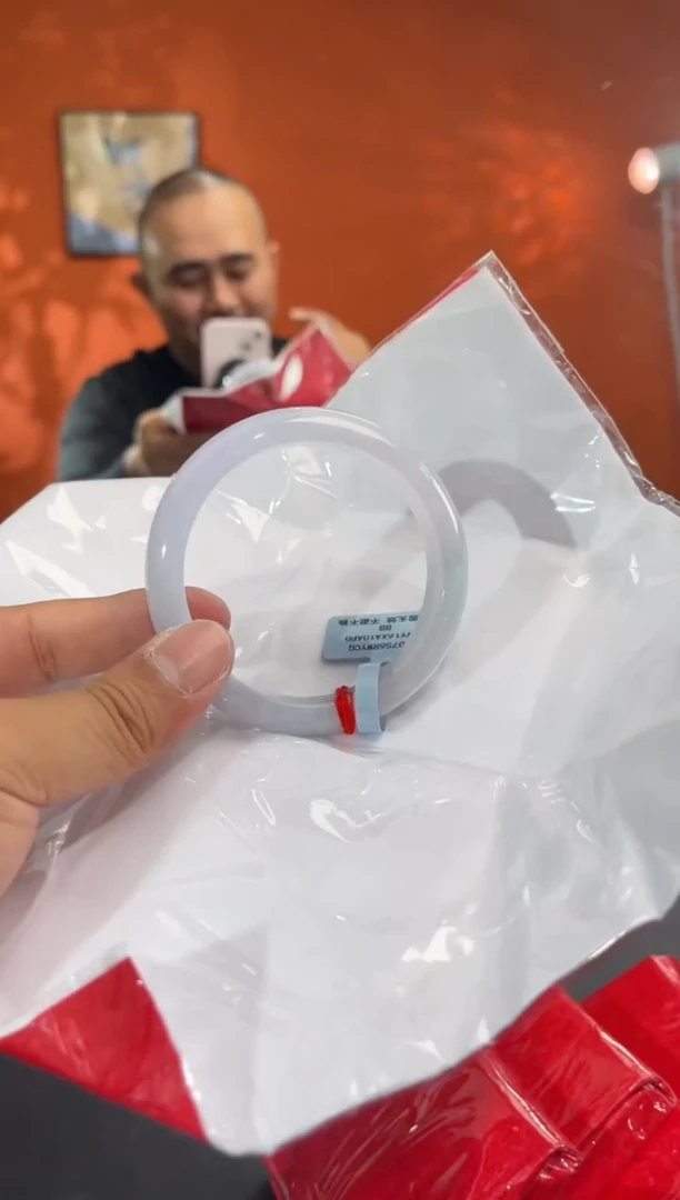 未镶嵌手镯翡翠13