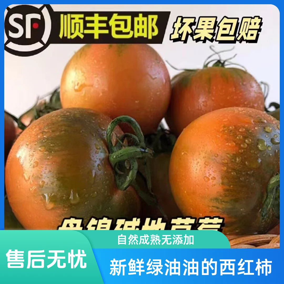 手工精选中小混五斤，碱地，草莓，铁皮，西红柿，顺丰包邮新鲜辽宁省