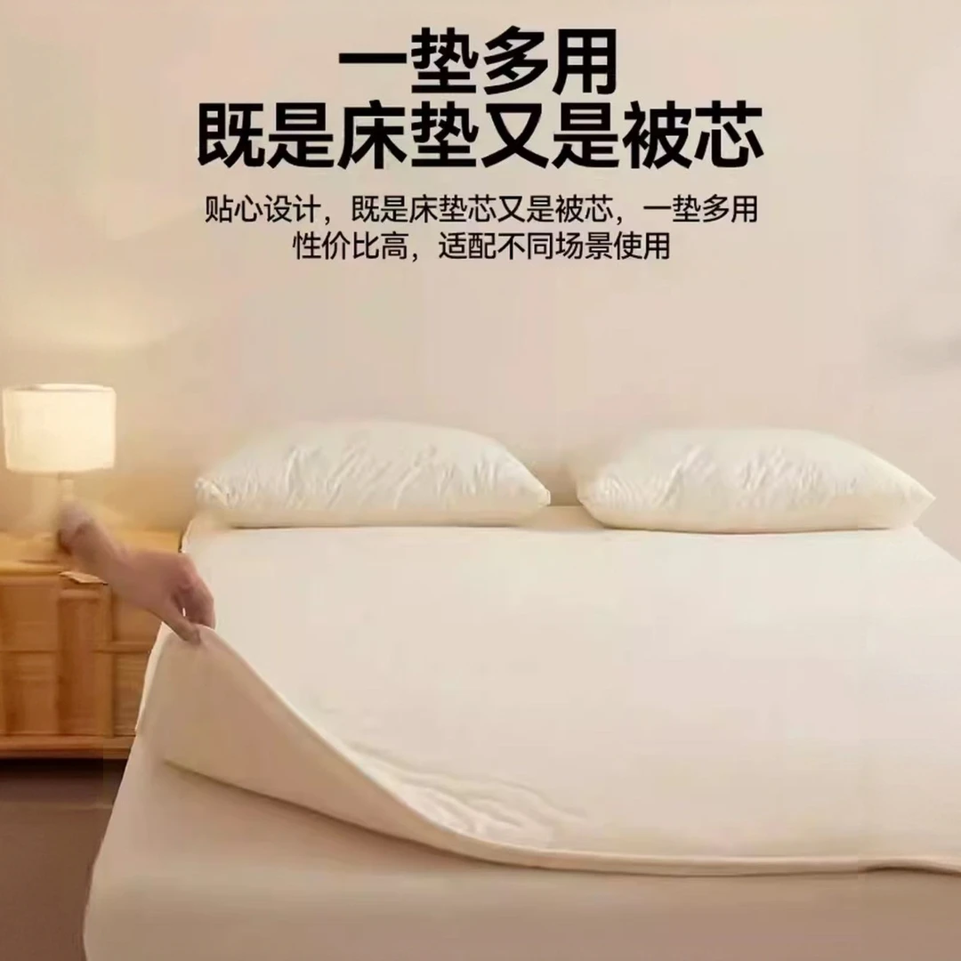 新疆双面软垫夹棉被芯床褥助眠床笠抗菌防螨床垫厚款