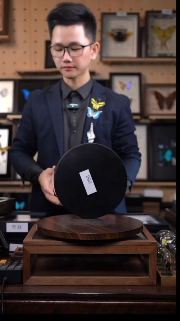 7**k动物标本摆件一口价d90