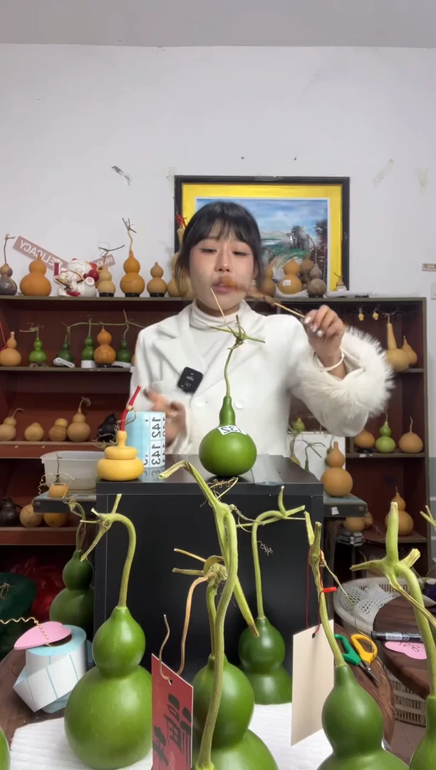 132天然葫芦摆件 一物一拍龙头不保售后