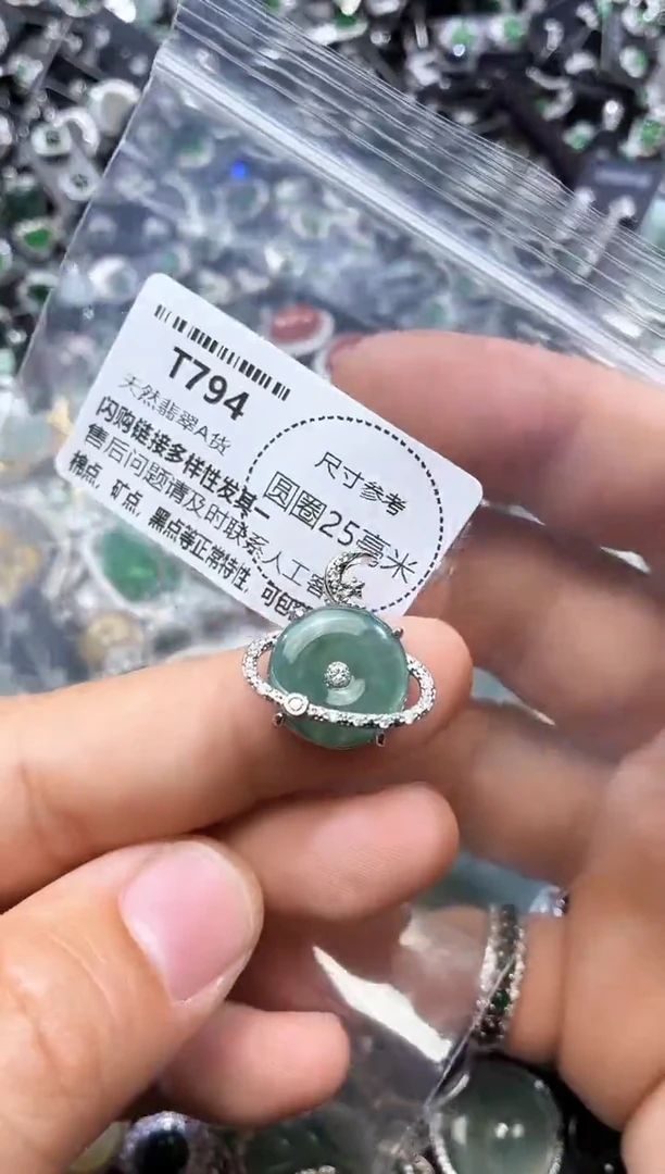 翡翠未镶嵌颈饰T794吊坠