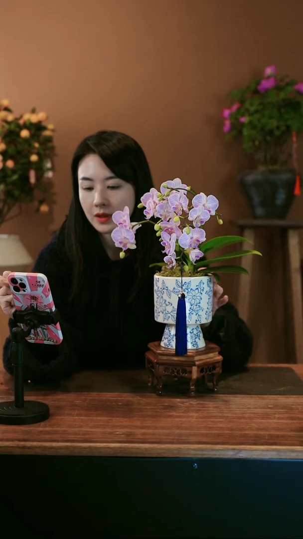 【闪购商品】盆景梦境