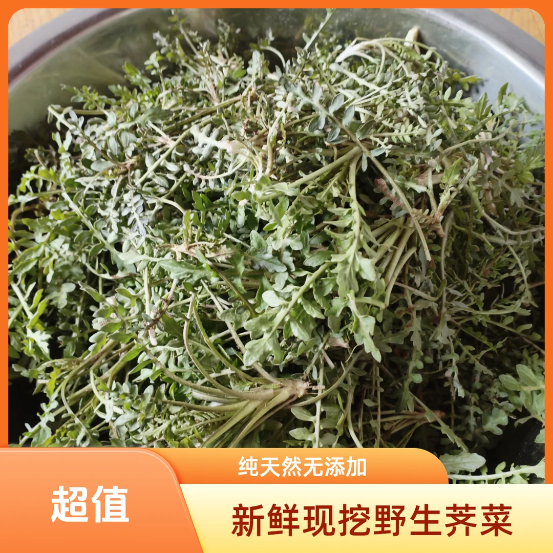 东北特产水吉菜。新货现挖。纯绿色食品，无污染顺丰包邮。