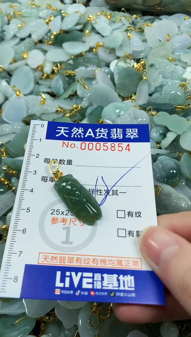 颈饰未镶嵌翡翠纯天然a货翡翠