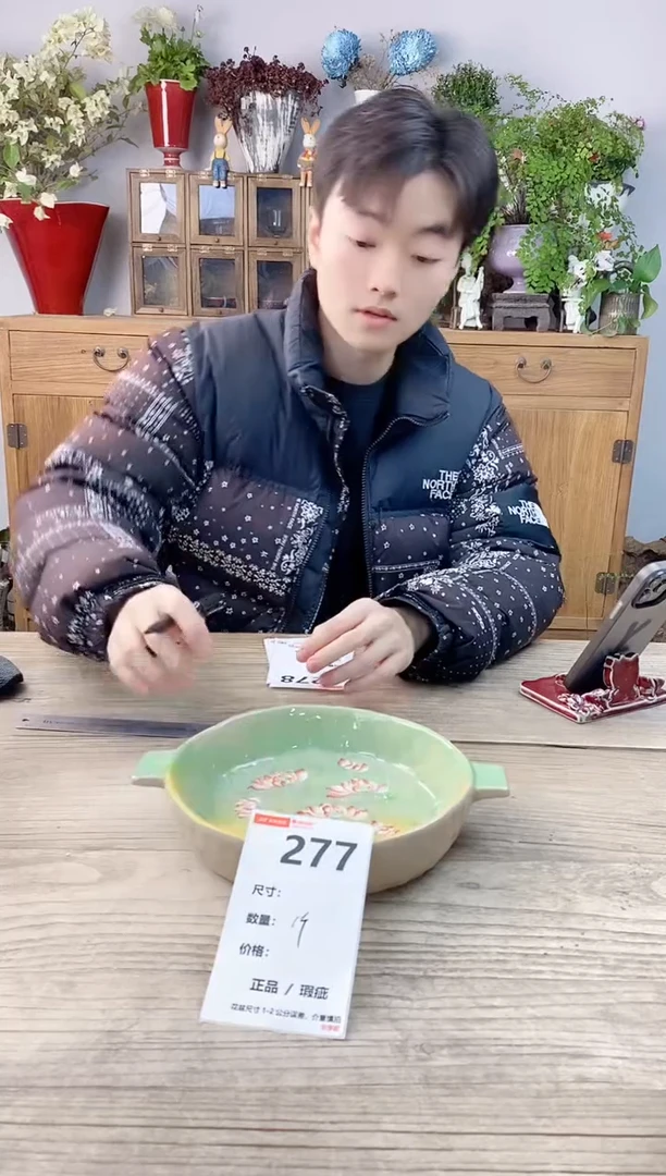 小玩子花盆直播号277