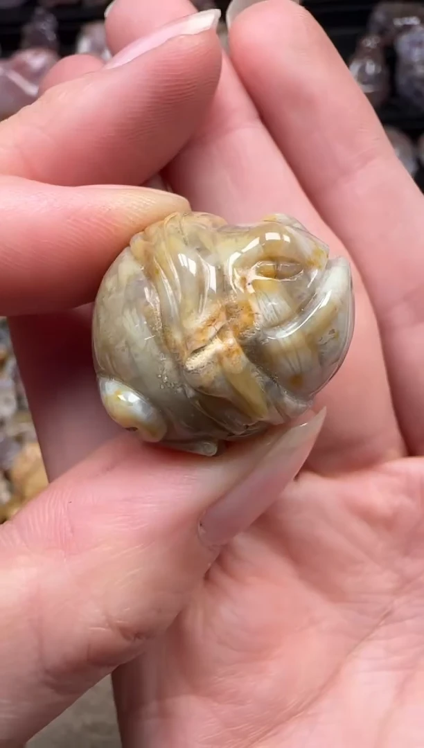 颈饰未镶嵌硅化珊瑚（珊瑚玉）844