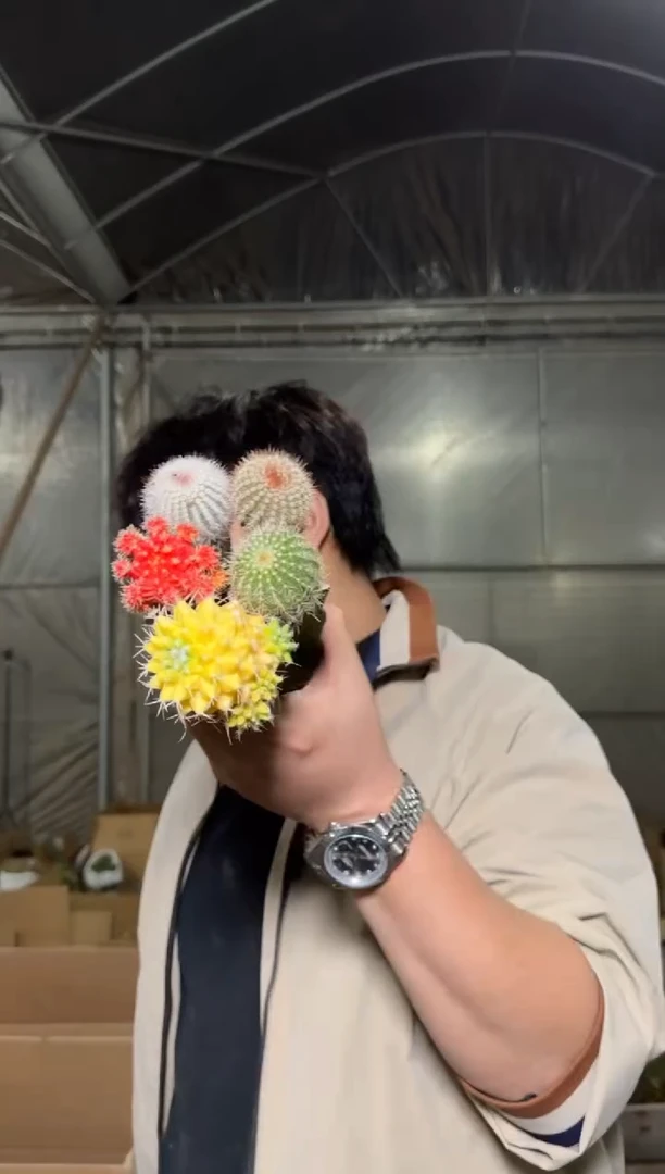 5色球组合【嫁接】