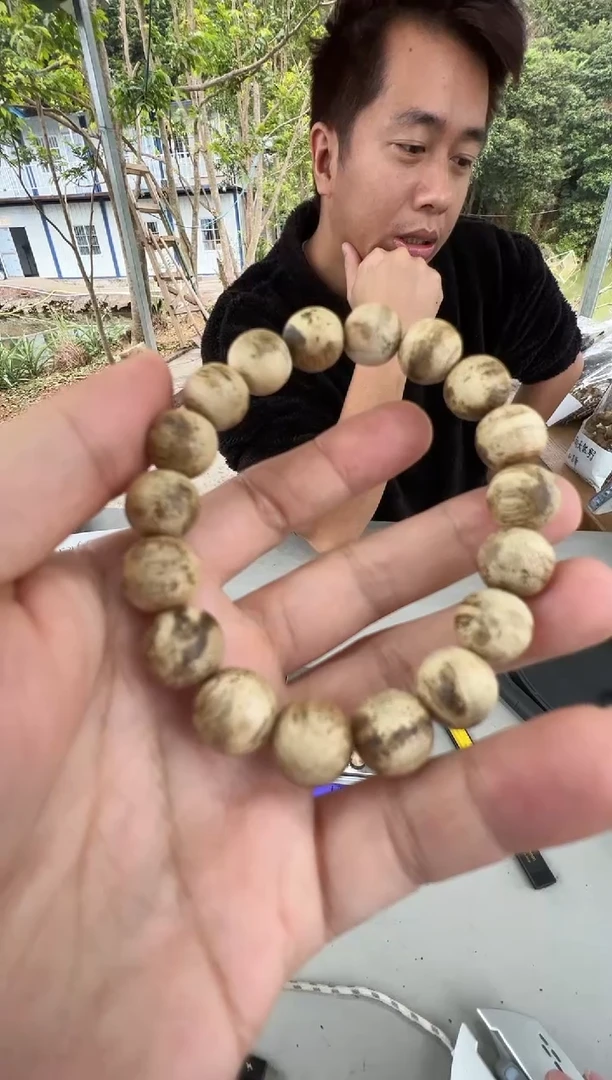 沉香沉香碎屑原板头虫漏1.2圆珠单圈多样性发一