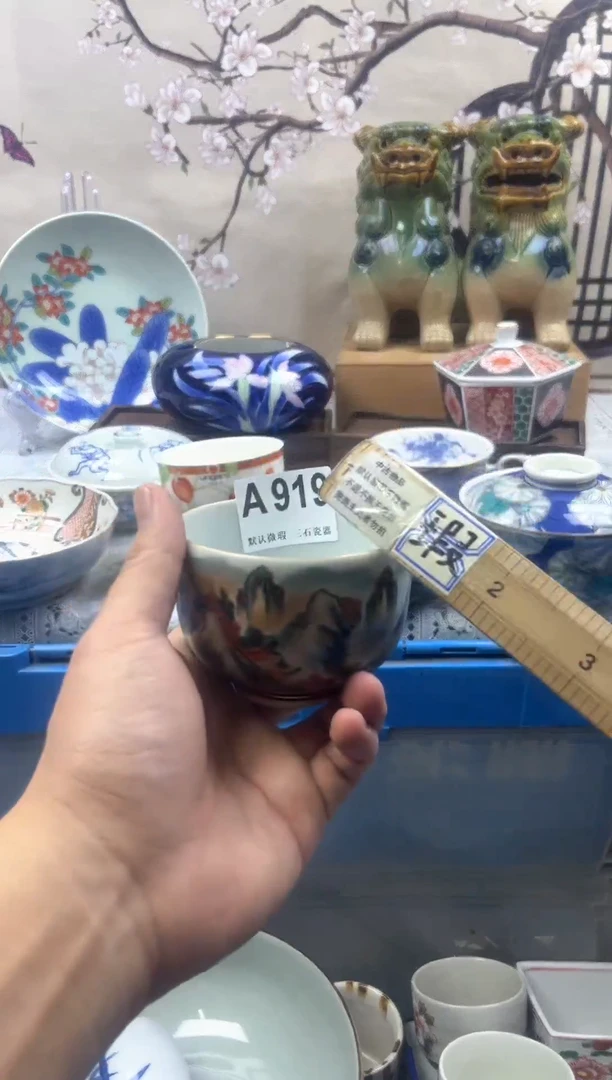 【闪购商品】1瓷片 默认微瑕介意勿拍A919